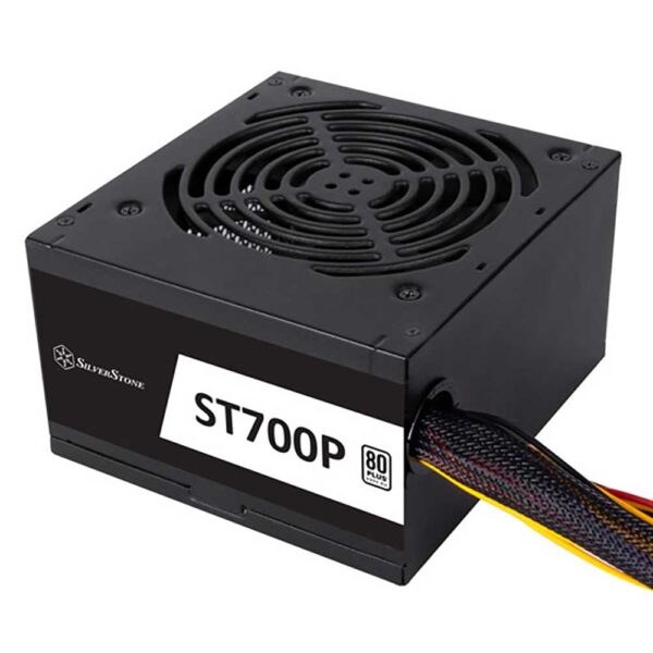 نمای خروجی کابل پاور سیلور استون SilverStone ST700P