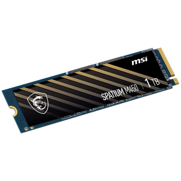 اس اس دی ام اس آی MSI SPATIUM M450 1TB