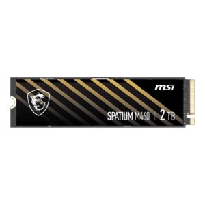 حافظه SSD ام اس آی MSI SPATIUM M460 2TB