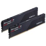 دوبل رم جی اسکیل G.Skill Ripjaws 64GB (2×32GB) DDR5 6400MHz CL32