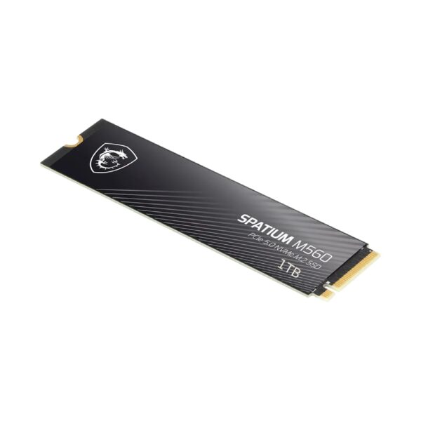 حافظه SSD ام اس آی MSI SPATIUM M560 1TB