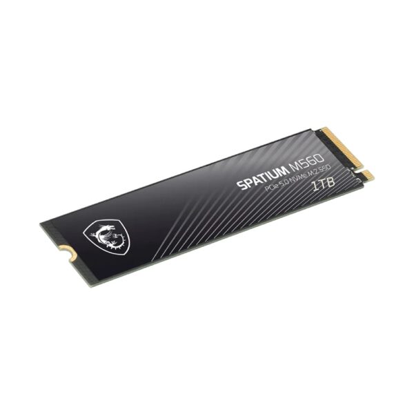 حافظه SSD ام اس آی MSI SPATIUM M560 1TB